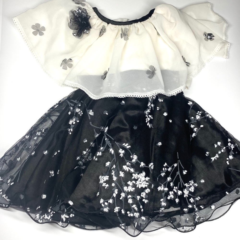 Little party dress for the little princess